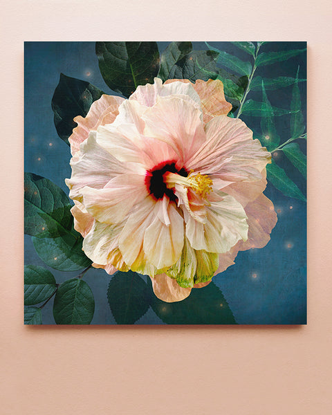 Photographic Prints – Nancy Ramirez Art